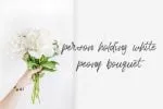 Bentoll Font