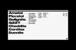 Benzin Font Family