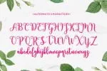 Berlin Script Font