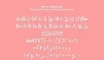 Berno - The Handwritten Brush Font