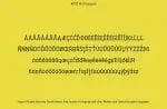 Berry Slab Font
