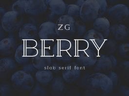 Berry Slab Serif Font