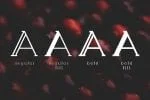 Berry Slab Serif Font