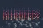 Berry Slab Serif Font
