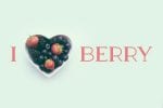Berry Slab Serif Font