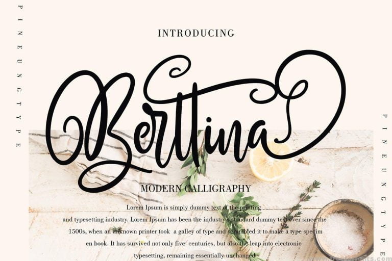 Berttina Font Free Download