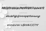 Besok - The Cute Brush Font