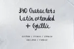 Besom Extended Brush Font Cyrillic