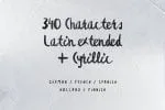 Besom Extended Brush Font