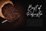Bettanesia Font