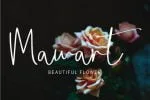 Bettasand Font