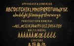 Better Thick - Brush Font