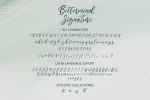 Bettermind Signature Font