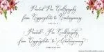 Bettrisia Script Font