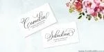 Bettrisia Script Font
