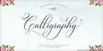 Bettrisia Script Font