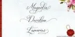Bettrisia Script Font