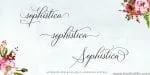 Bettrisia Script Font