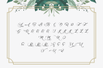 Beutiq Moment Script Font