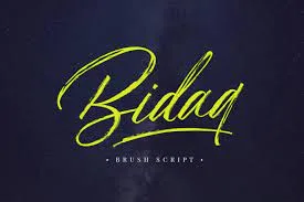 Bidaq Brush Script Font
