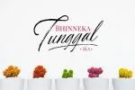 Bidaq Brush Script Font
