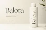 Big Bang - Feminine Elegant Serif Font
