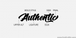 Big Blue Script Font