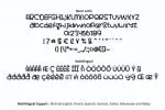 Big Whale Font