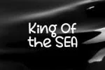 Big Whale Font