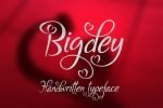 Bigdey Font