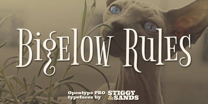 Bigelow Rules Pro Font