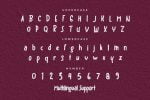 Bigloss Font