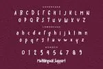 Bigloss Font
