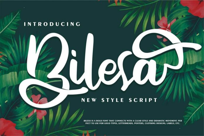 Bilesa New Style Script