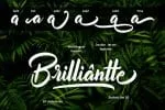 Billionthine Calligraphy Script Font