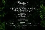 Billionthine Calligraphy Script Font