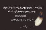 Binzo Font