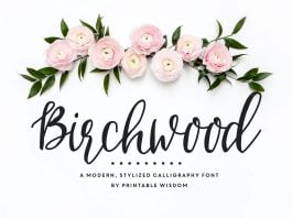 Birchwood Calligraphy Font