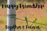 Bird Day Font