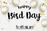 Bird Day Font
