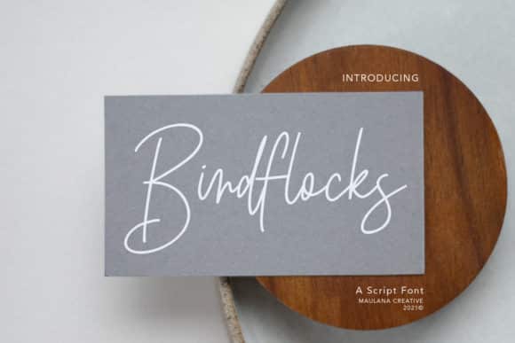 Birdflocks Script Font