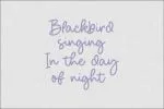 Birdhave Font