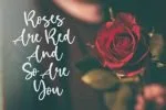 Birdlove Font
