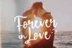 Birdlove Font