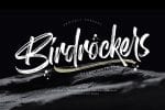 Birdrockers Font