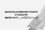 Birdsong Two Font