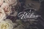 Birmingham - Signature Script Font
