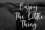 Bitheris Script Brush Font
