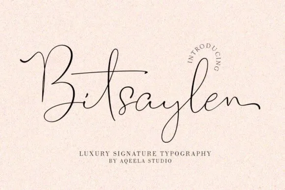 Bitsaylen Font