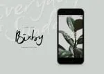 Bixby Font
